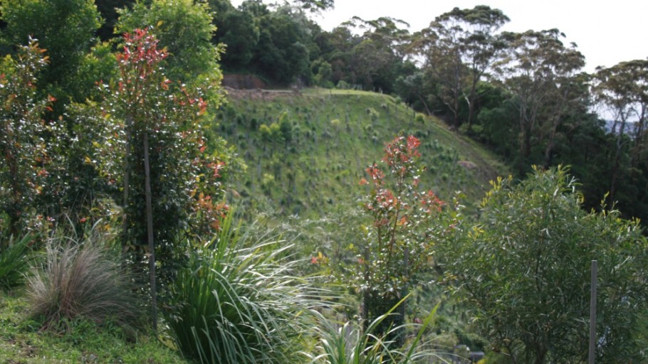 Kemira Colliery, Mount Keira