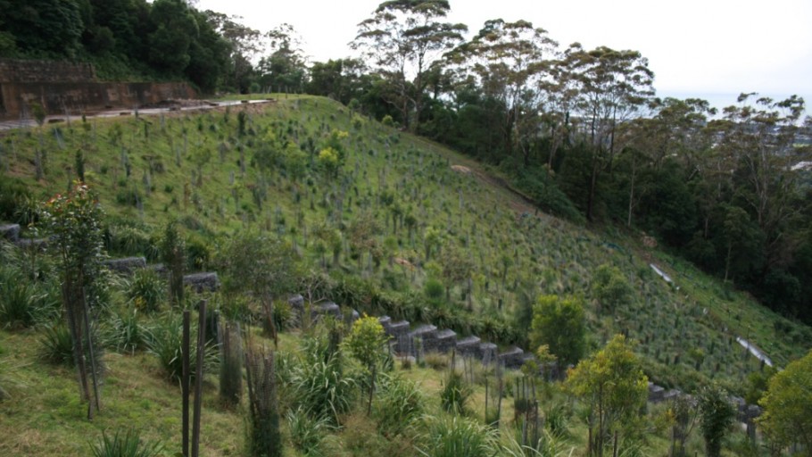 Kemira Colliery, Mount Keira
