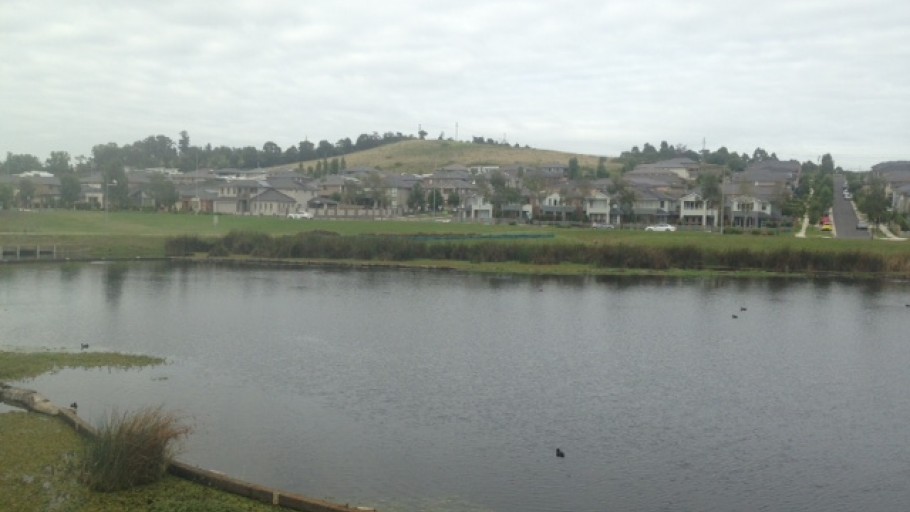 Salvinia Control, Pemulway