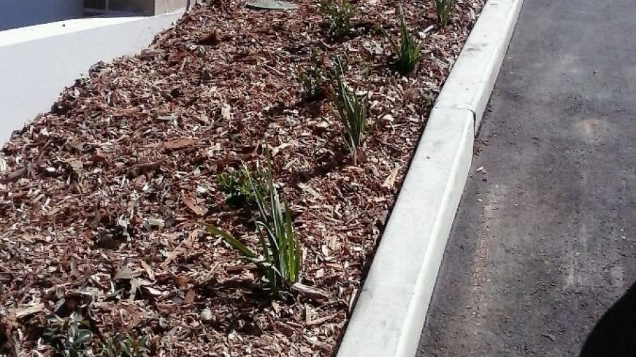 Soft & Hard Landscaping – Kennett Home