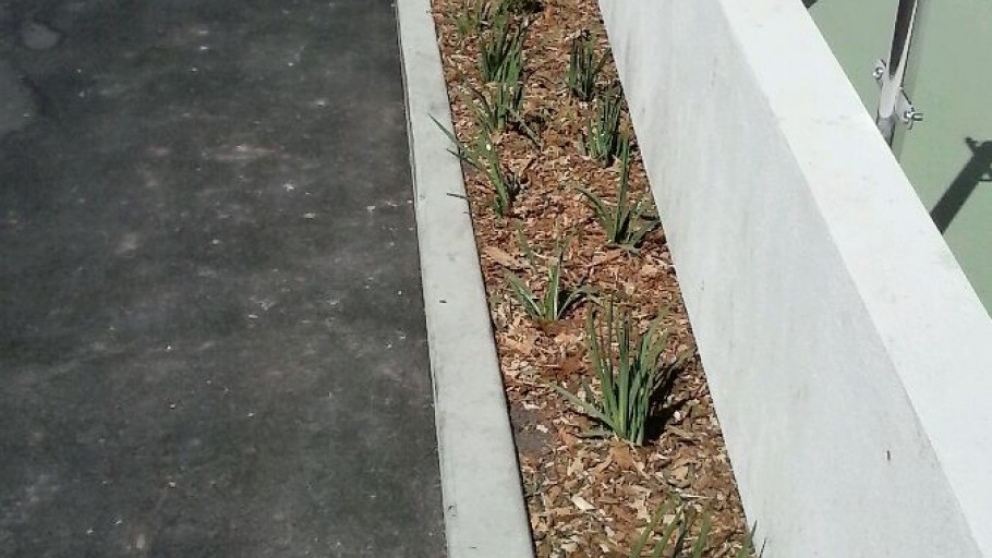 Soft & Hard Landscaping – Kennett Home