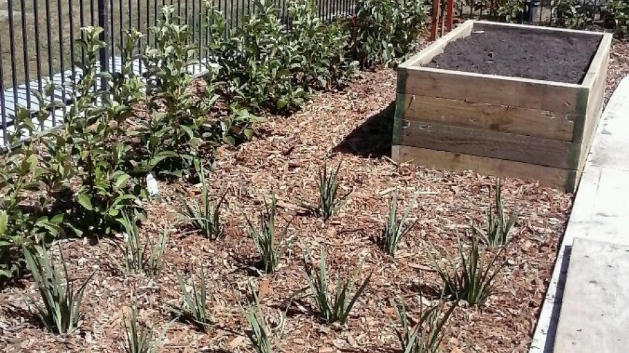 Soft & Hard Landscaping – Kennett Home