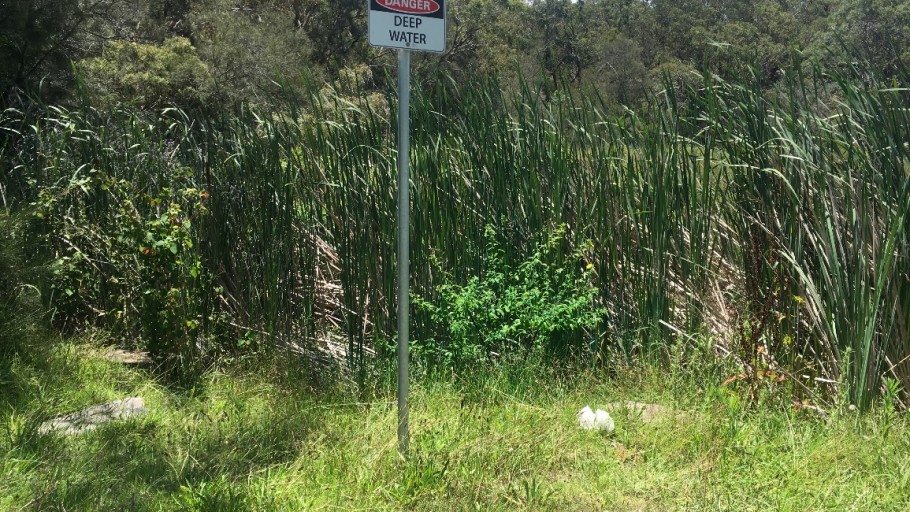 Yeramba Lagoon Ludwidgia Control Project
