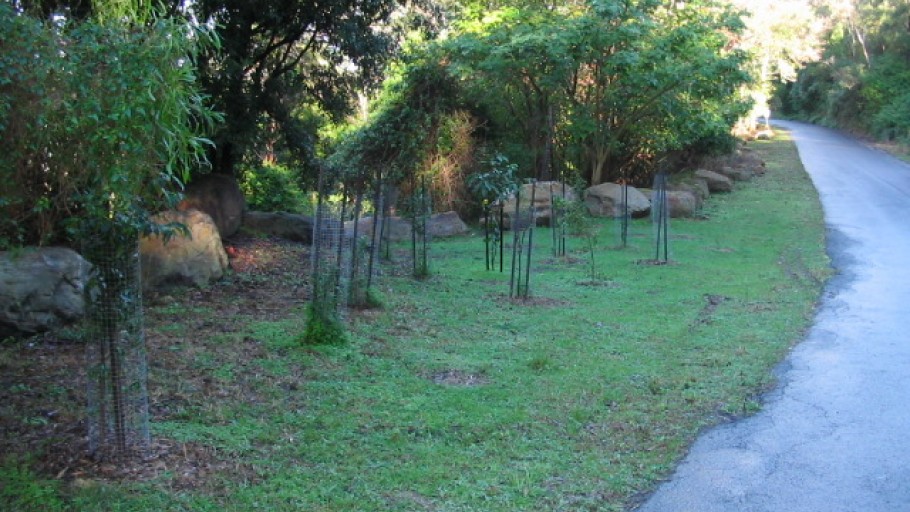 Kemira Colliery, Mount Keira